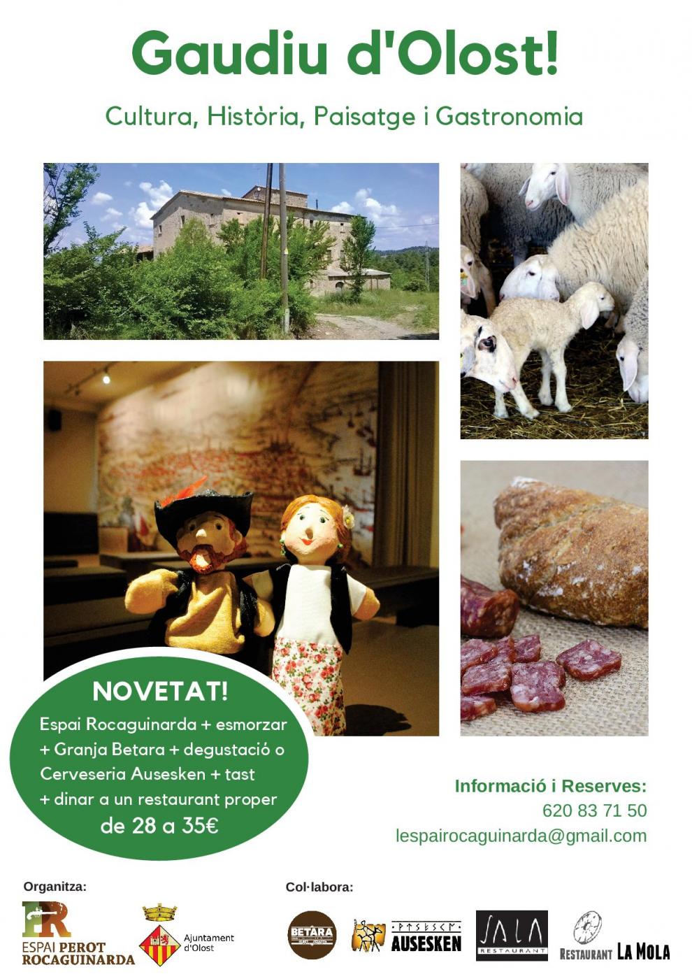 Gaudiu d'Olost!, visites guiades a l'Espai Rocaguinarda i molt més